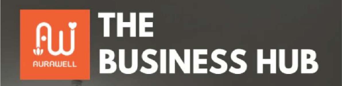 Ashwini The Business hub